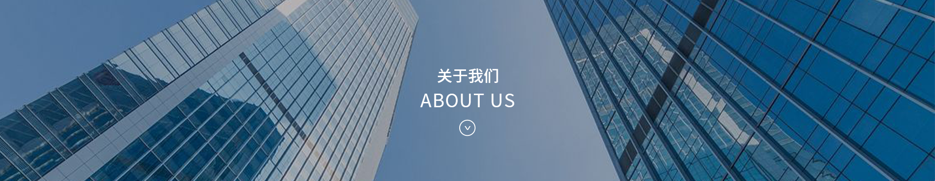 公司簡介